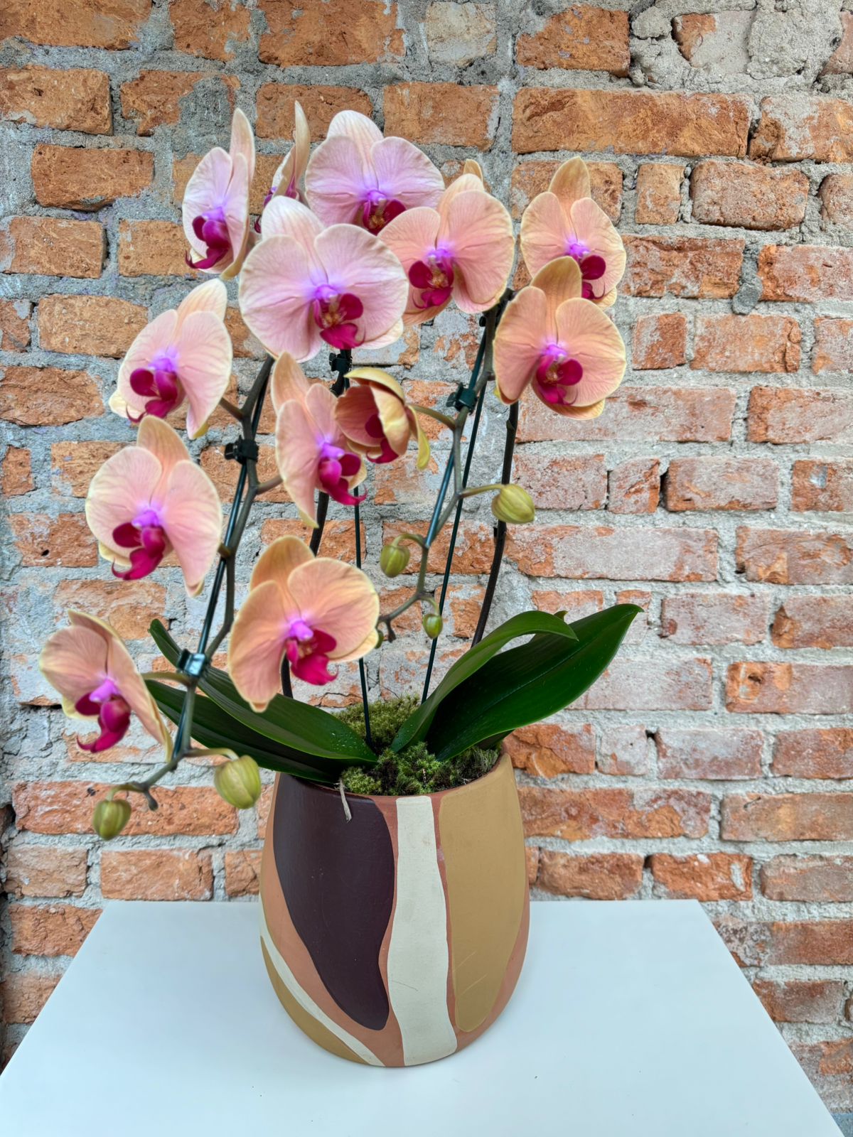 WhatsApp Image 2025-10-28 at 17.08.02 (1)