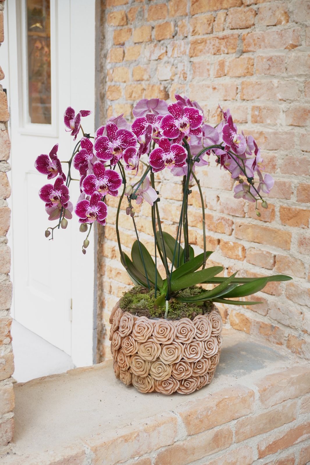 WhatsApp Image 2025-11-03 at 16.43.01 (1)