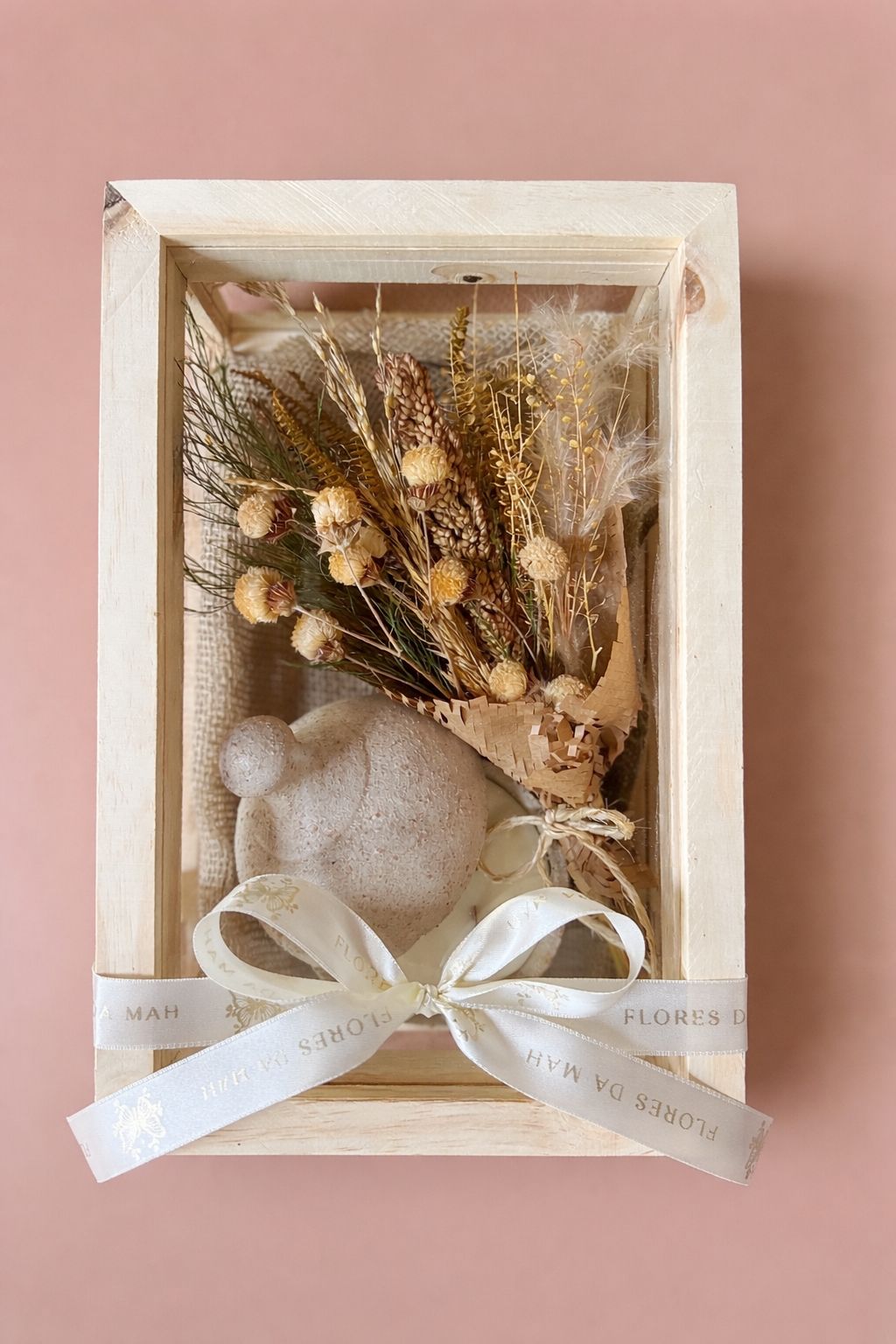 WhatsApp Image 2026-02-27 at 16.56.16